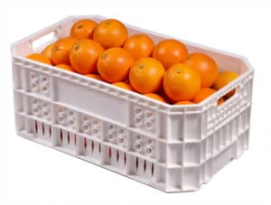 Harvest Crate with Oranges